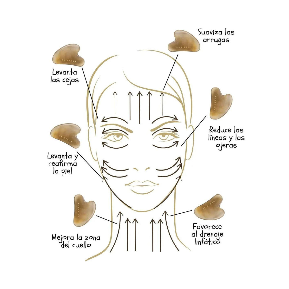 Folleto_skincare_HONEY - Honey SkinCare Ec