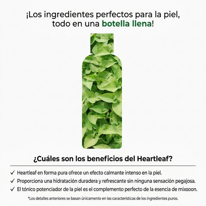 Mixsoon Centella Asiatica Toner